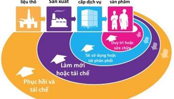 Biến rác thải thành gia tài: Cơ hội nào cho chúng ta trong nền kinh tế tuần hoàn?