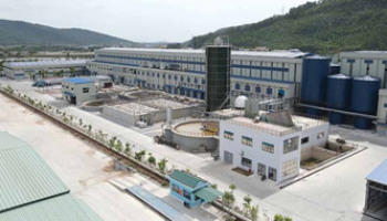 ĐỢT THU HOẠCH CÁ ĐẦU TIÊN TẠI HỒ NƯỚC XẢ THẢI CÔNG TY MIZA NGHI SƠN